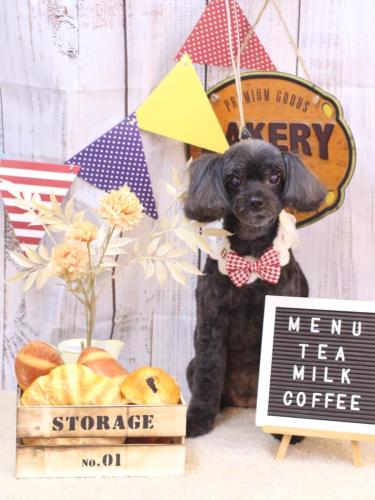 202470917ピピちゃん